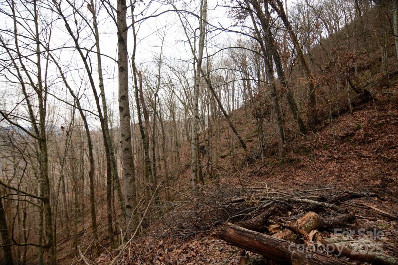 Property image 4 of 000 Jacks Knob Road in Green Ridge Falls, Barnardsville, NC 28709