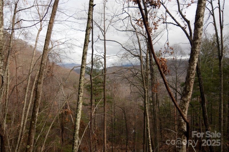 Property image 4 of 00 Green Ridge Falls Road in Greenridge Falls, Barnardsville, NC 28709