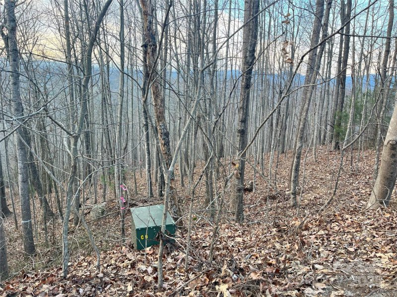 Property image 3 at 134 Bradley Ascent Court, Hendersonville, NC 28792