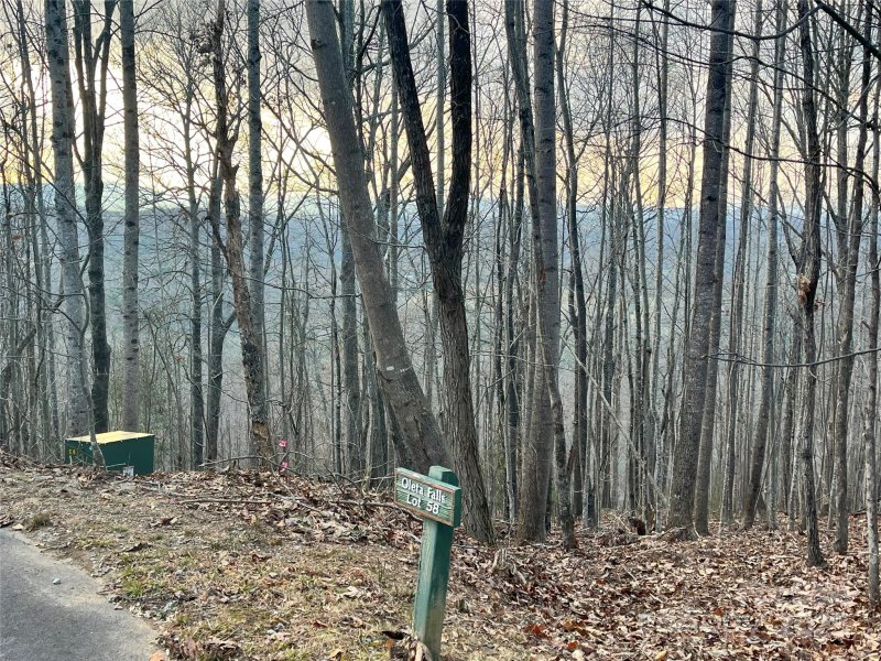 Property image 5 at 134 Bradley Ascent Court, Hendersonville, NC 28792