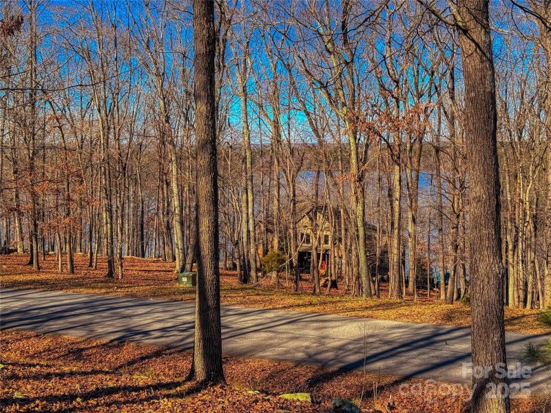 Property image 4 at 2175 Rocky Cove Lane, Denton, NC 27239