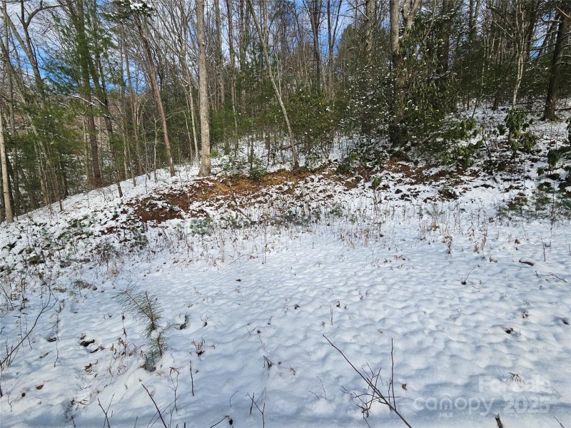 Property image 2 at 0 Laurel Branch Road, Waynesville, NC 28785