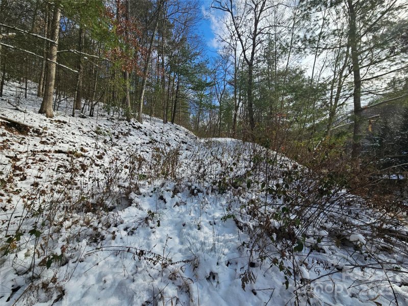 Property image 4 at 0 Laurel Branch Road, Waynesville, NC 28785