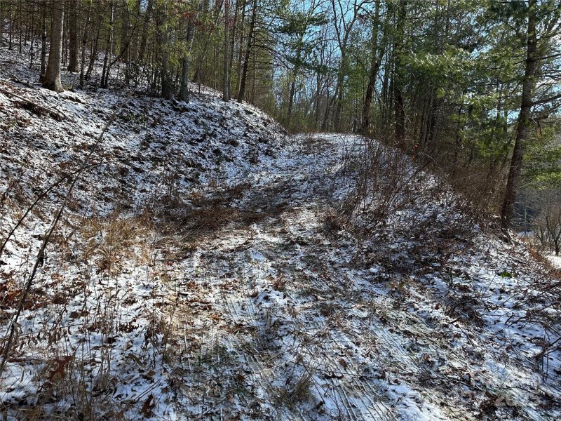 Property image 5 at 0 Laurel Branch Road, Waynesville, NC 28785