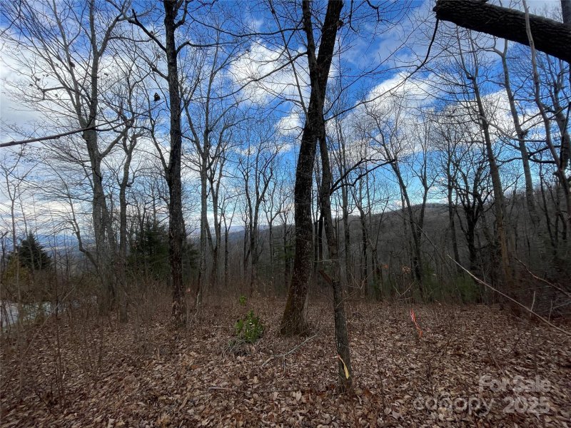 Property image 2 of 108 Fawncrest Court in Kenmure, Flat Rock, NC 28731