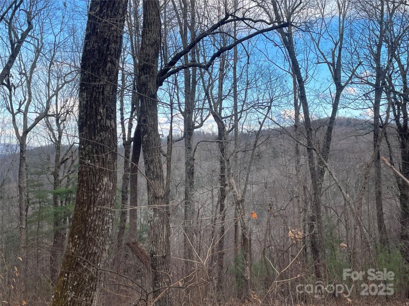 Property image 3 of 108 Fawncrest Court in Kenmure, Flat Rock, NC 28731