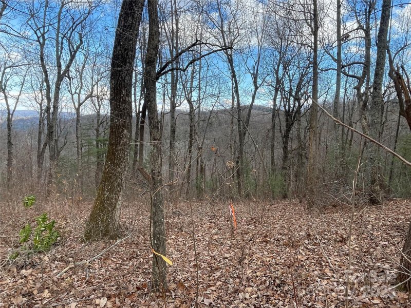 Property image 5 of 108 Fawncrest Court in Kenmure, Flat Rock, NC 28731