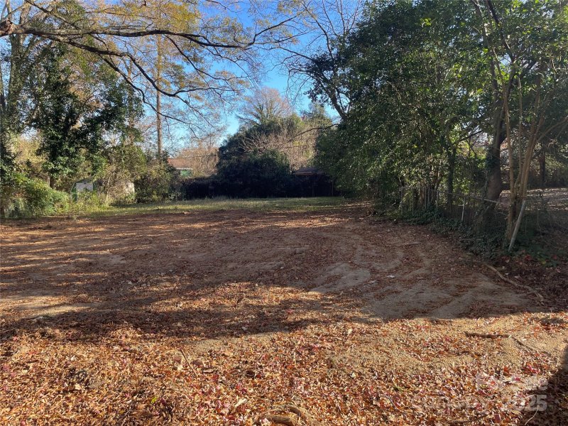 1905 Garibaldi Avenue