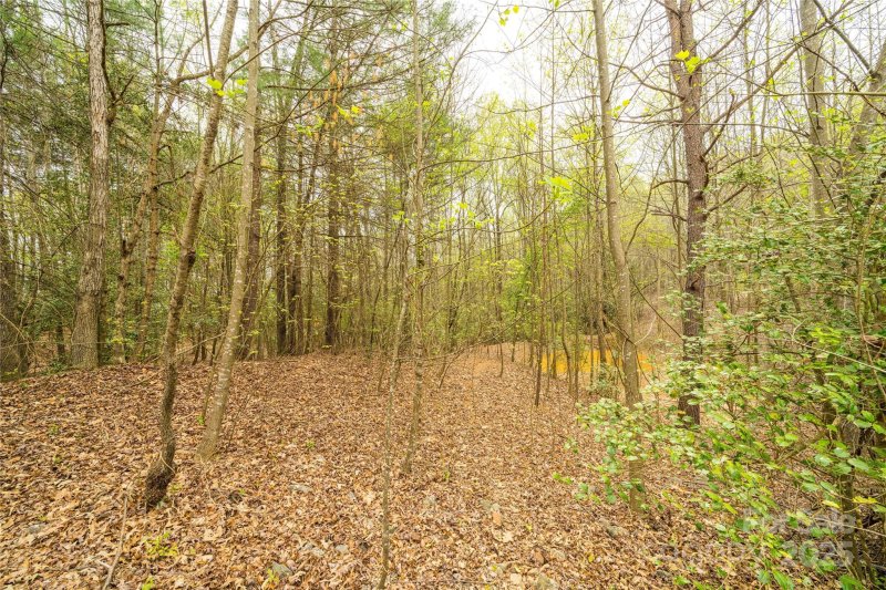 Property image 5 of 5775 Crown Terrace in Diamond Point Estates, Hickory, NC 28601