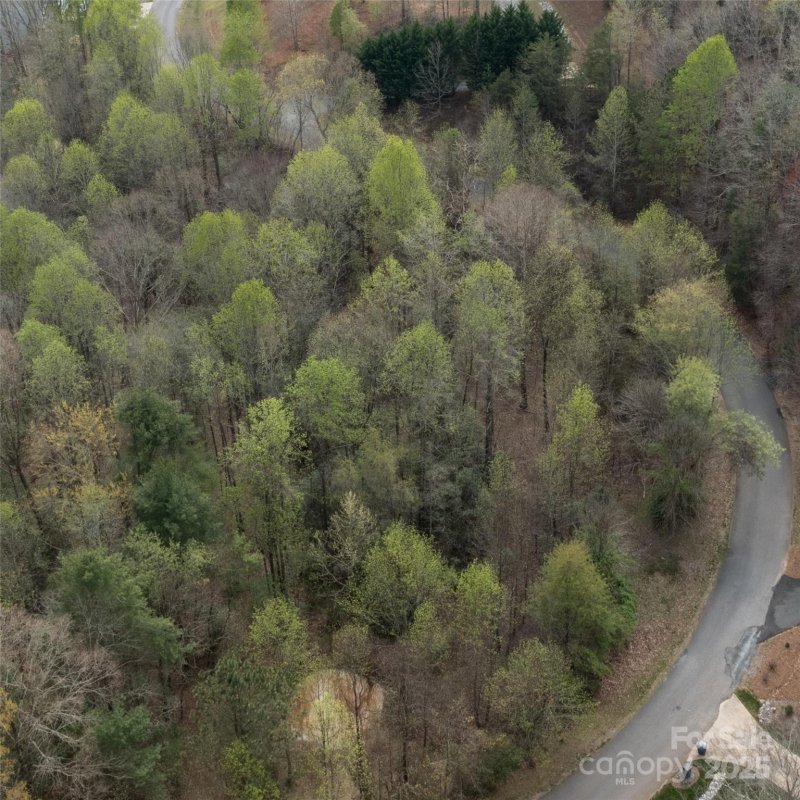 Property image 4 of 0000 Crown Terrace in Diamond Point Estates, Hickory, NC 28601