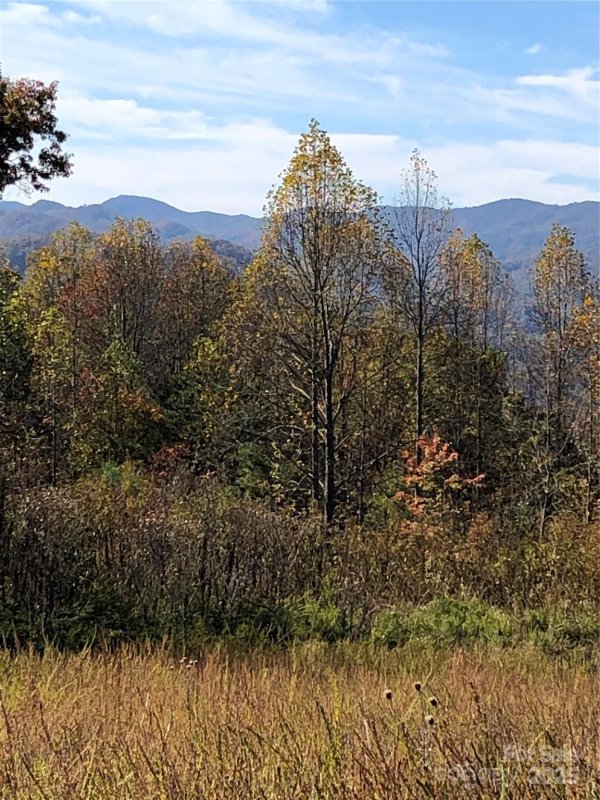 Property image 2 of 255 Clearview Lane in French Broad Crossing, Marshall, NC 28753