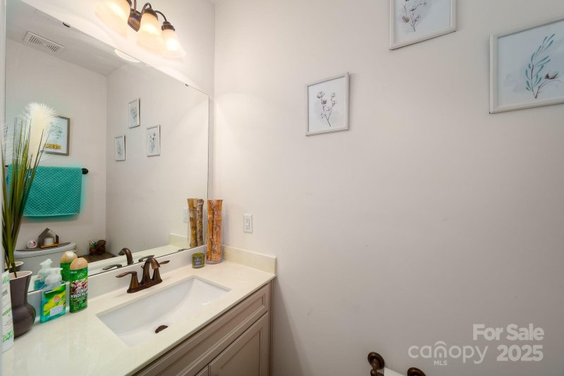 Property image 4 at 11315 Savannah Creek Drive, Charlotte, NC 28273