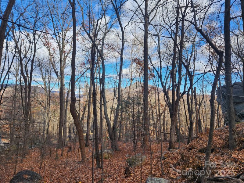 Property image 2 at Lot 197 Bald Mountain Crescent, Lake Lure, NC 28746