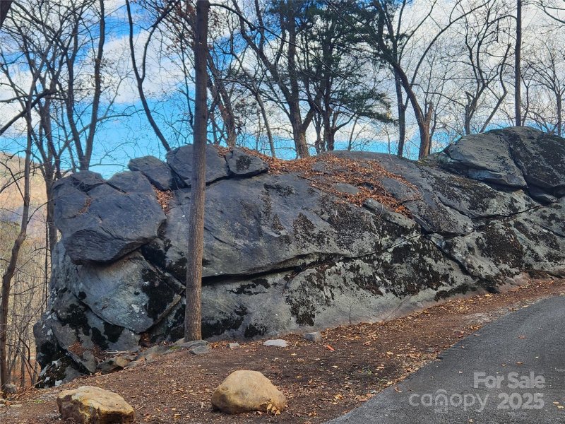 Property image 3 at Lot 197 Bald Mountain Crescent, Lake Lure, NC 28746