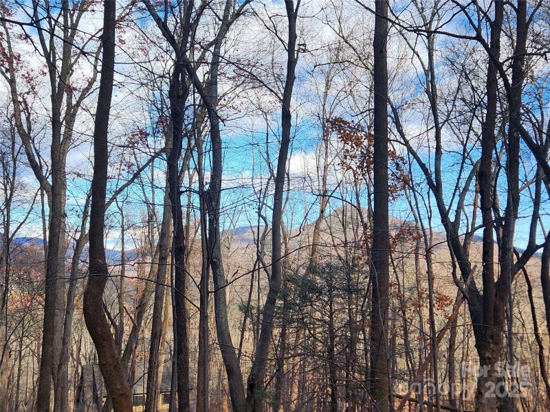 Property image 4 at Lot 197 Bald Mountain Crescent, Lake Lure, NC 28746