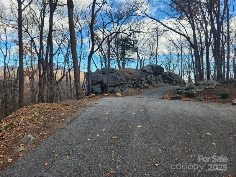 Property image 5 at Lot 197 Bald Mountain Crescent, Lake Lure, NC 28746