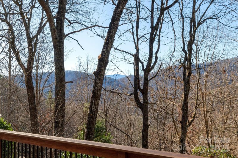 Property image 3 at 103 Honey Locust Drive, Mills River, NC 28759