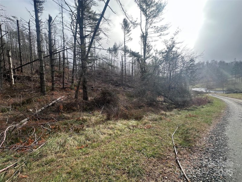 Beech Creek, Bakersville Community