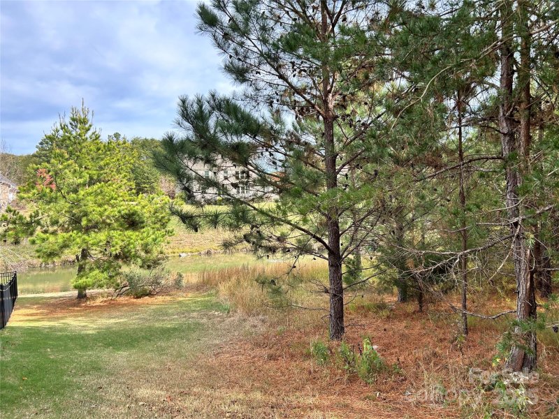 Property image 5 of 14108 Rhone Valley Drive in Montreux, Charlotte, NC 28278