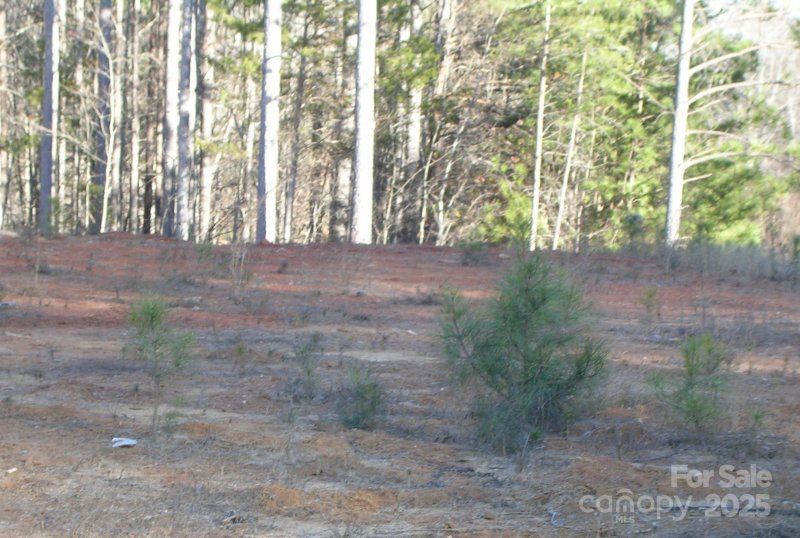 Property image 2 at 104 Crooked Branch Way, Troutman, NC 28166