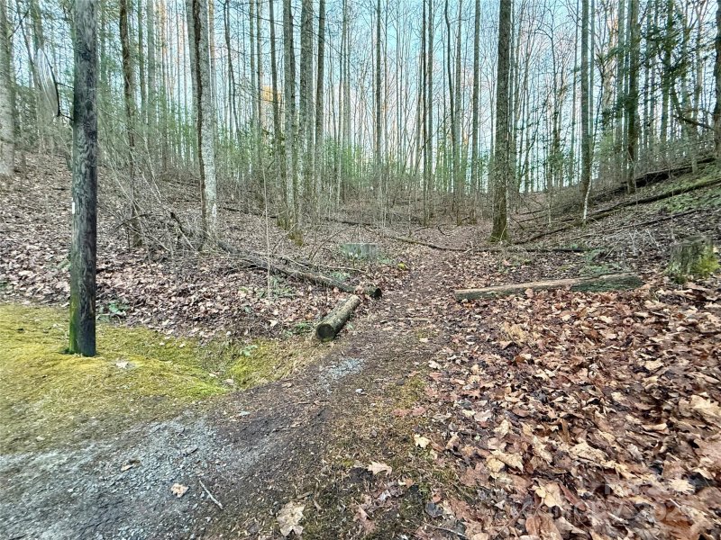 Property image 2 at 000 Spring Road, Hendersonville, NC 28792