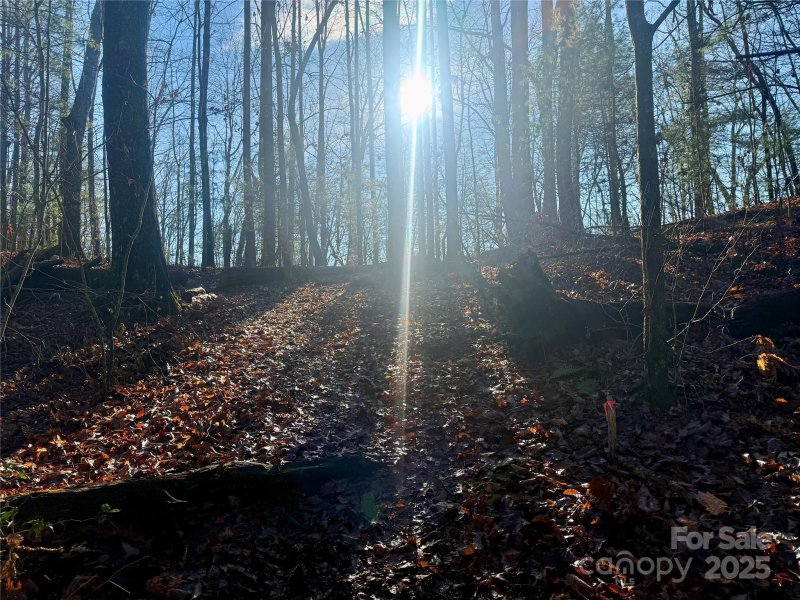 Property image 3 at 000 Spring Road, Hendersonville, NC 28792