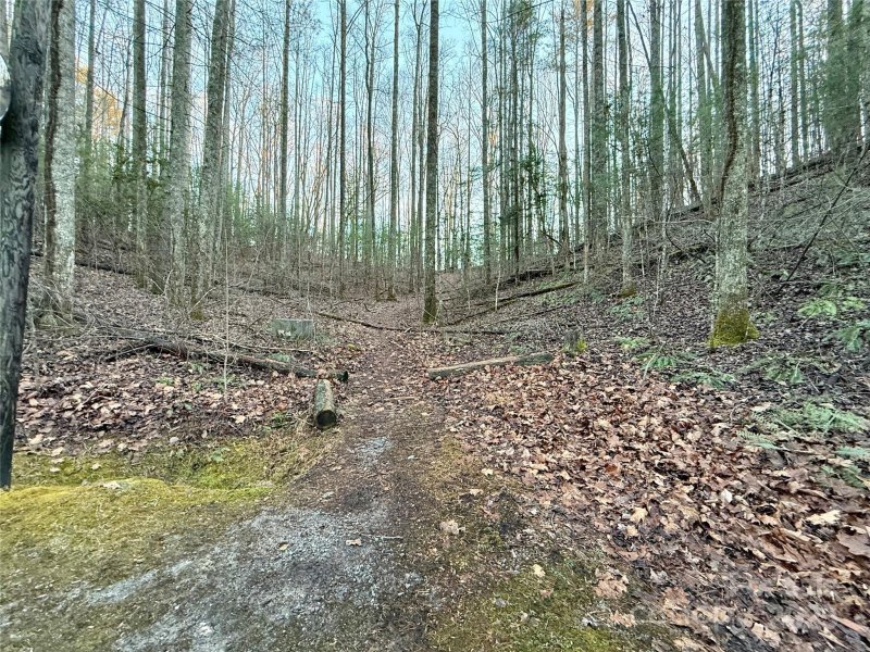 Property image 5 at 000 Spring Road, Hendersonville, NC 28792