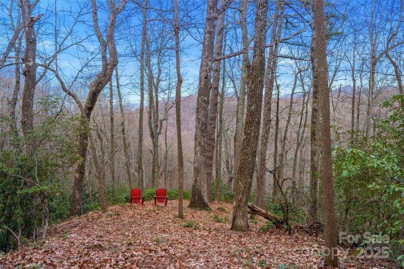 Property image 2 of Lot 4 Council Bluff Trail in Laurel Mountain Preserve, Black Mountain, NC 28711