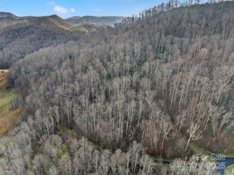 Property image 2 of 534 Kendal Drive in Whisper Mountain, Leicester, NC 28748