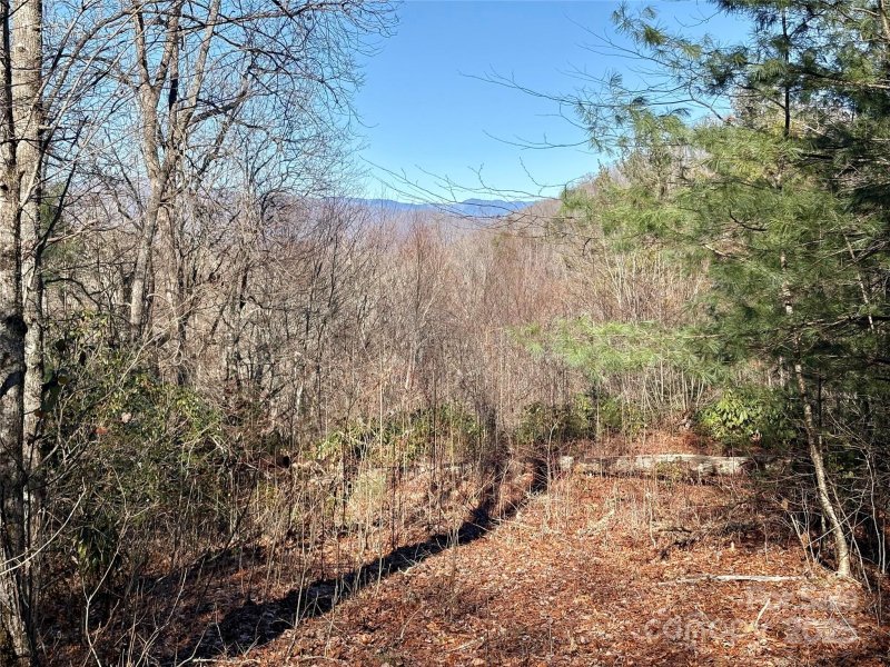 Property image 2 at 165 Widgeon Way, Whittier, NC 28789