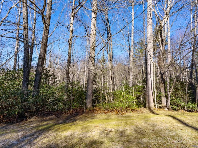 Property image 3 of 000 Chattooga Run in Champion Hills, Hendersonville, NC 28739