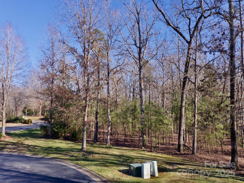 Property image 2 of 118 Candor Oaks Drive in Uwharrie Point, New London, NC 28127