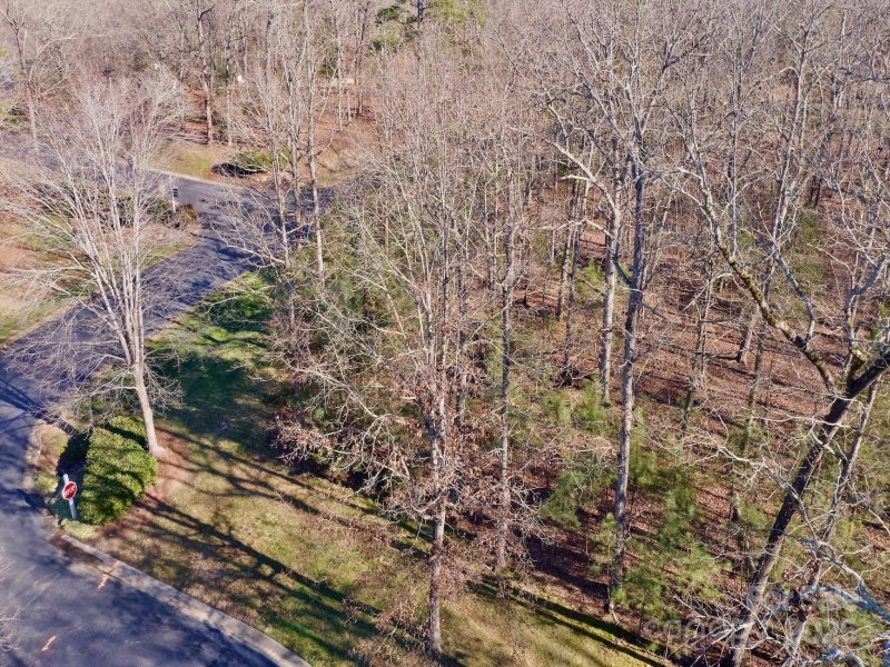 Property image 3 of 118 Candor Oaks Drive in Uwharrie Point, New London, NC 28127