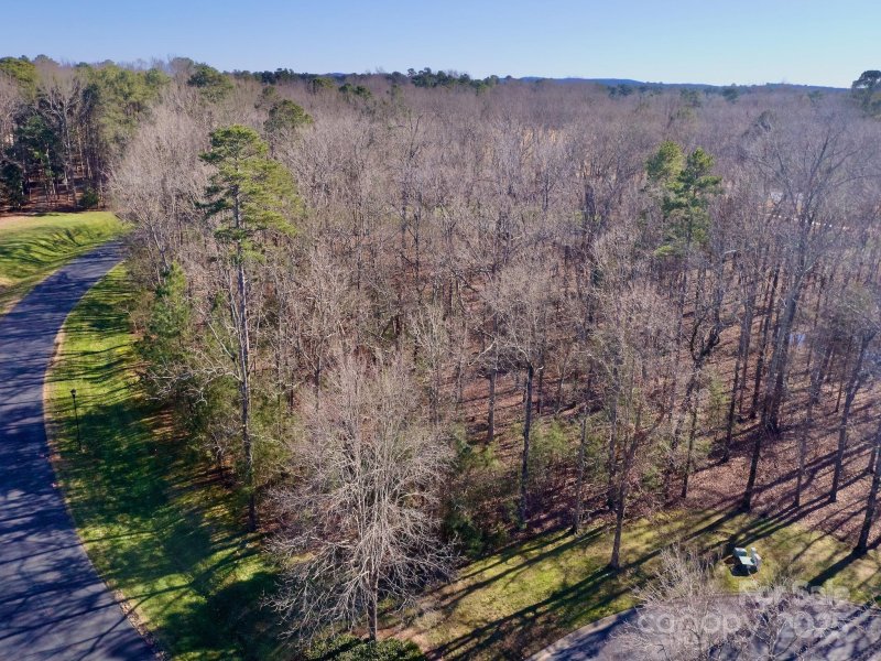 Property image 4 of 118 Candor Oaks Drive in Uwharrie Point, New London, NC 28127