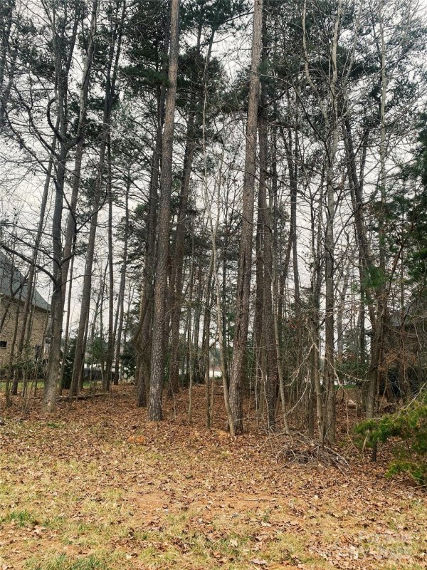 Property image 2 at 1538 Reflection Pointe Boulevard, Belmont, NC 28012