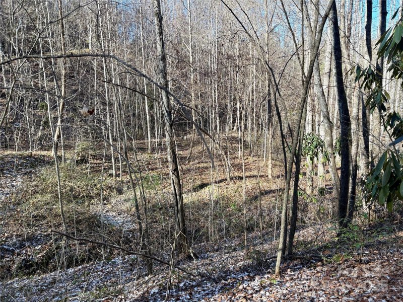 Property image 2 at 0 Widgeon Way, Whittier, NC 28789