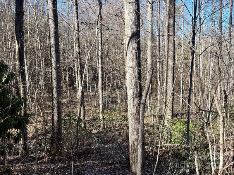 Property image 3 at 0 Widgeon Way, Whittier, NC 28789