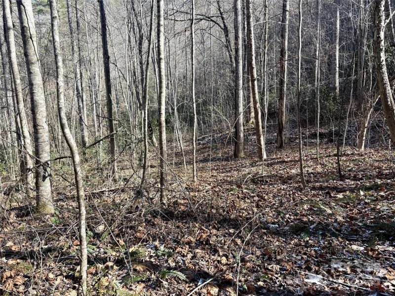 Property image 5 at 0 Widgeon Way, Whittier, NC 28789