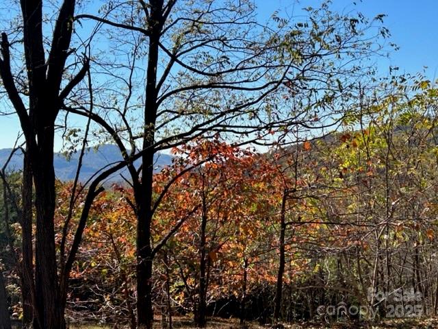 Property image 2 at 0 Woodgate Drive, Bostic, NC 28018