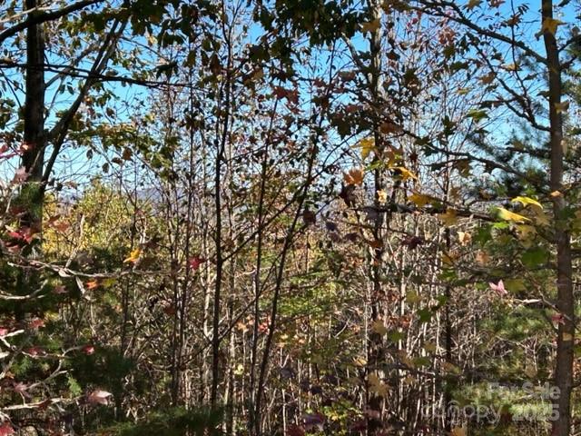 Property image 4 at 0 Woodgate Drive, Bostic, NC 28018