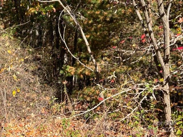 Property image 5 at 0 Woodgate Drive, Bostic, NC 28018