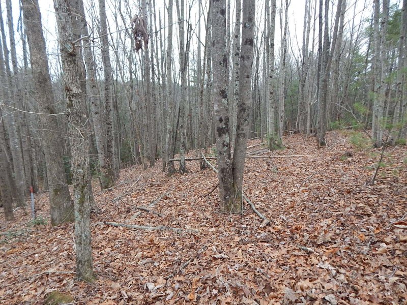 1061 Round Rock Road