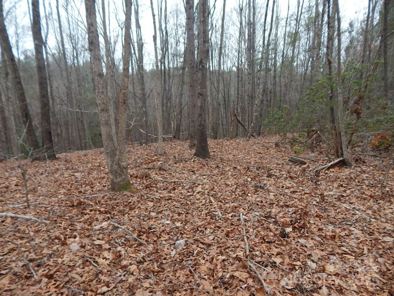 Property image 3 at 1061 Round Rock Road, Lenoir, NC 28645