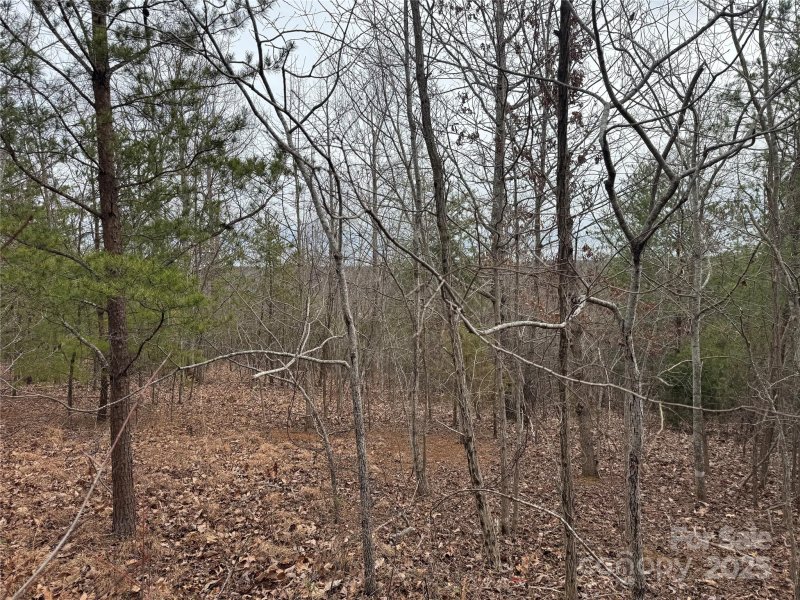 00 Stonecrest Parkway