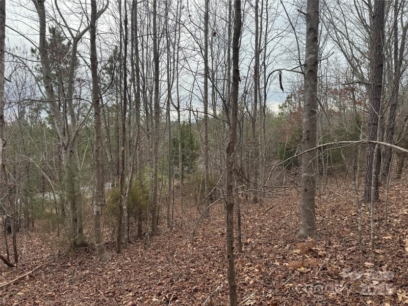 Property image 4 of 00 Stonecrest Parkway in Stonecrest, Mill Spring, NC 28756