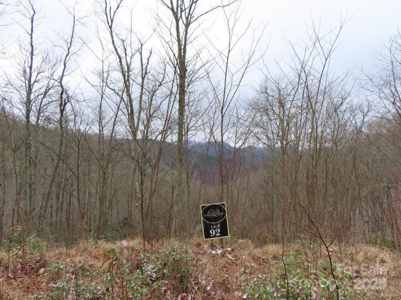 Property image 4 of 92 Alarka Highlands Road in Alarka Highlands, Bryson City, NC 28713
