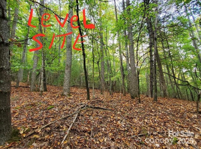 00 Hickory Wood Trail