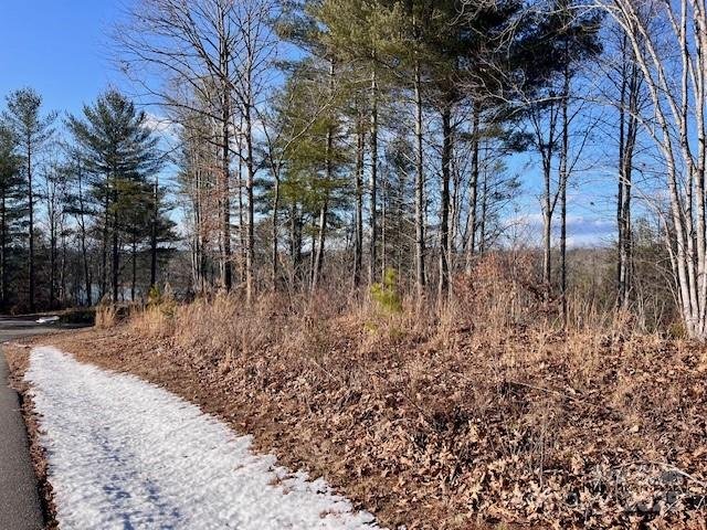 Property image 3 at 4034 Nesting Lane, Valdese, NC 28690