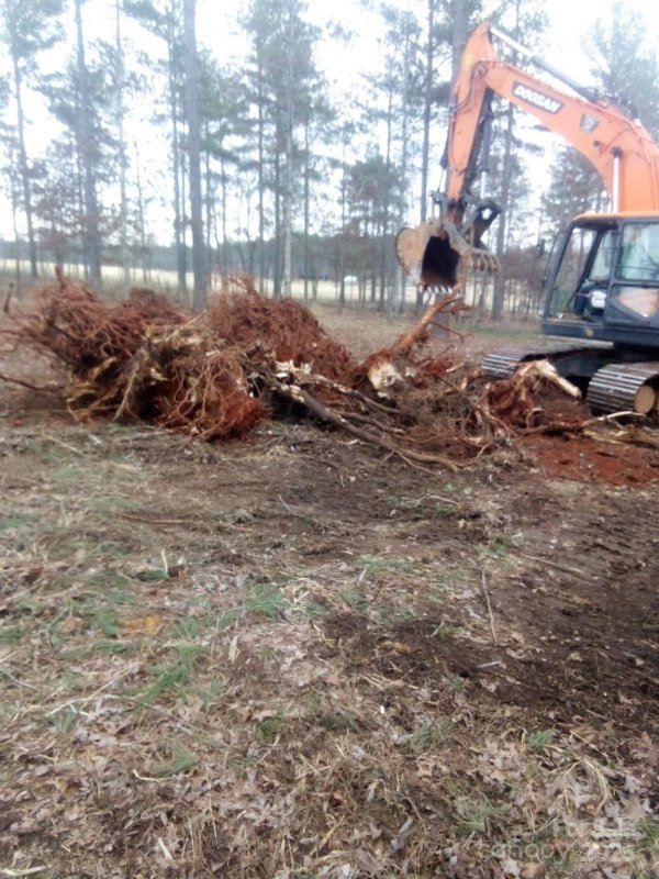 Property image 4 at 1437 Jumping Run, Connelly Springs, NC 28612