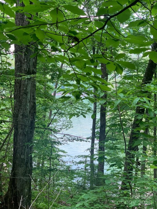 Property image 5 of Lot 108 3 Rocky Bluff Drive in Fontana Lake Estates, Bryson City, NC 28713